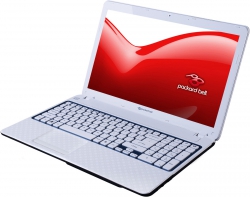 Packard Bell EasyNote TV44HC-33124G50Mnws