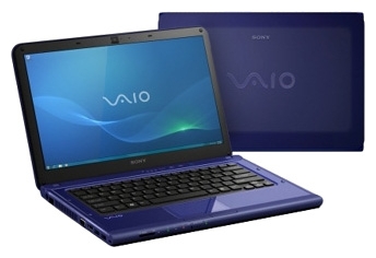 Sony VAIO VPC-CA3S1R/L