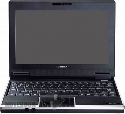 Toshiba NB100-10X