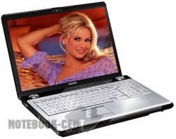 Toshiba Satellite P200-1G9