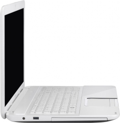 Toshiba Satellite  L870 -C8W